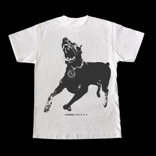 CTV Doberman